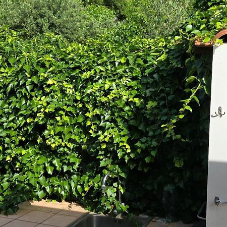 Villa Margherita Maratea Eksteriør bilde